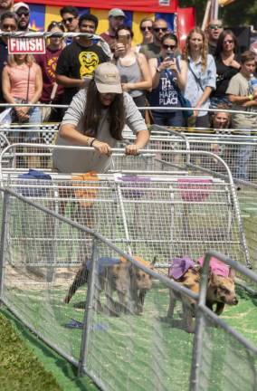 Pig races at the New Jersey State Fair. (Photo by John Hester)