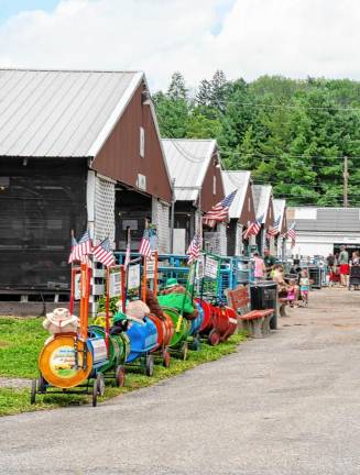 <b>At the fair. (Photo by Nancy Madacsi)</b>