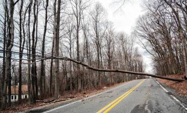 Route 613, also known as Andover Mohawk Road, in Andover is closed Saturday afternoon, Jan. 4 when a tree falls onto wires, blocking the road. (Photos by Nancy Madacsi)