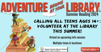 Libraries seek teen volunteers