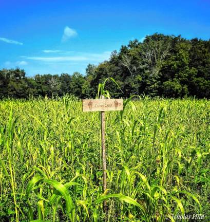 The SCCC Agriculture Field Day will be Wednesday, Aug. 14 at the SAgE at Muckshaw in Newton. (Photo provided)