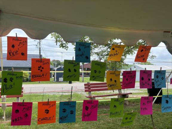 Custom paw prints are hung in the Doggie Art Zone tent.