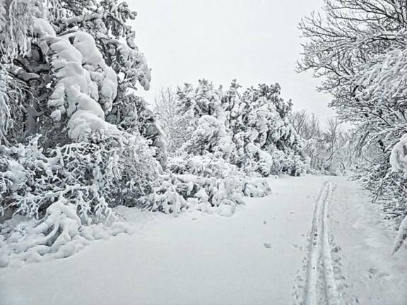 <b>Deep snow covers High Point State Park on Friday, Nov. 22. The total was 20 inches at the High Point Monument in Montague. (Photo courtesy of Shawn Viggiano and Nick Stefano)</b>