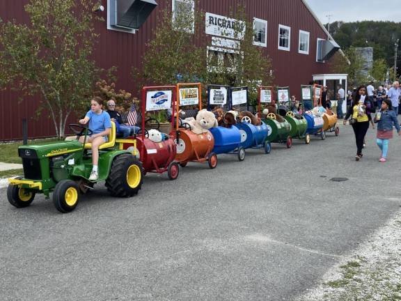 Stuffed animals on parade at Sussex County Day.