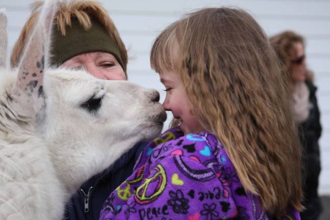 Photo By Gale Miko Lori Space Day shows Emma Winterberger of Frankford how to get Timmy the llama to give kisses.