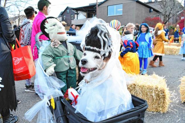 Photos: Halloween in Newton