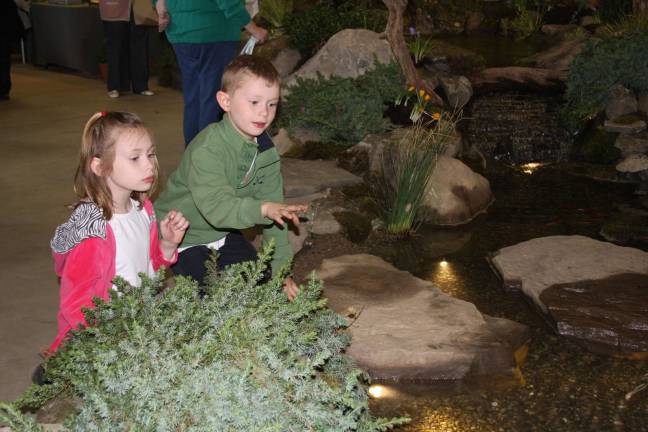Abigail and Andrew Hipolit of Sparta try counting the fish in the pond.