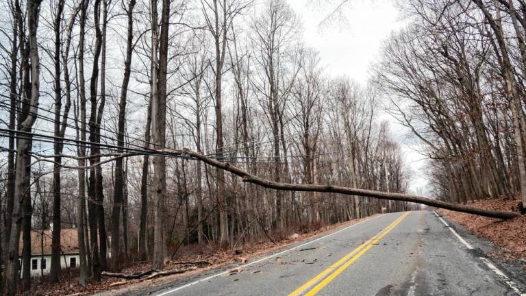 Route 613, also known as Andover Mohawk Road, in Andover is closed Saturday afternoon, Jan. 4 when a tree falls onto wires, blocking the road. (Photos by Nancy Madacsi)