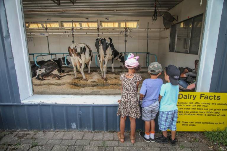 $!Don’t miss these 10 must-see attractions at the New Jersey State Fair