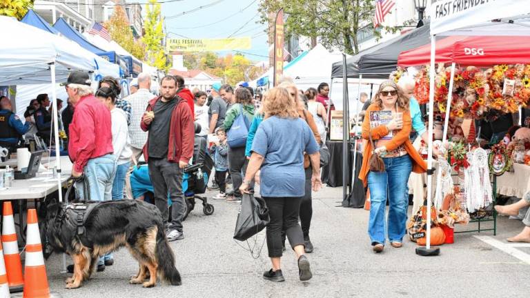 People fill Spring Street during the annual Fall Festival in Newton on Sunday, Oct. 13. (Photos by Maria Kovic)