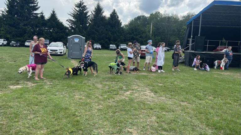 Dogs take part in the costume contest.